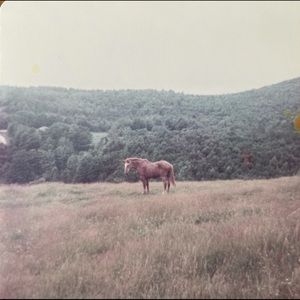 Meet your Posher, Geraldine